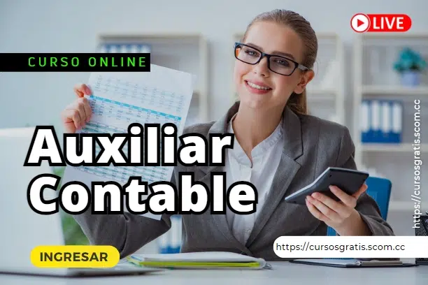 Curso Auxiliar Contable