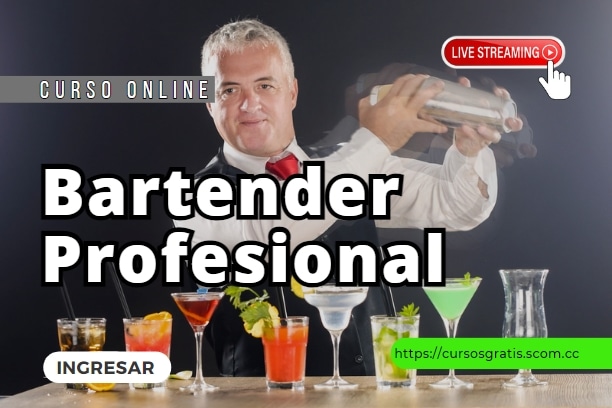 Curso Profesional de Bartender