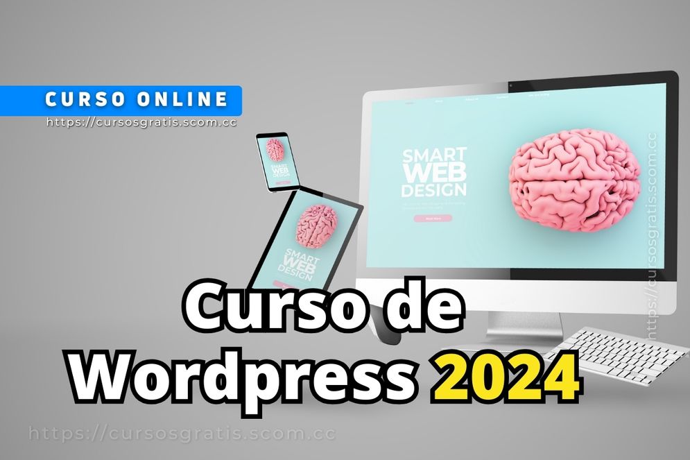Curso de WordPress 2024